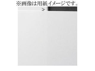 IJ-1324 竹和紙 170g/m2 A4 20枚入 213529400 【 ムラウチドットコム 】