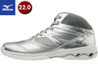 K1GF1874-05 EG[u_Co[X DE _XV[Y y22.0z iVo[j