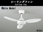 yyʁzWF503 V[Ot@  Rt