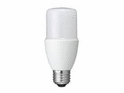 YAZAWA T`LED 100W` E26 F LDT13NG