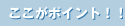 �������|�C���g�I