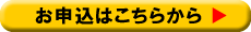 So-netADSL@\͂炩