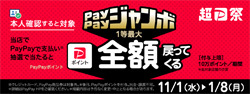 PayPayW{