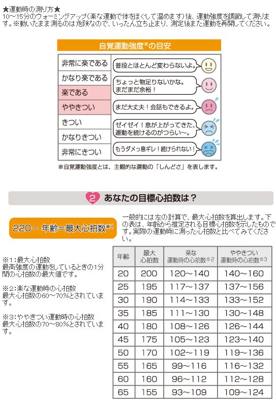 Haihr Jc 心拍測定機能付き腕時計 Heart Trainer ハートトレーナー ブラック グレー ムラウチドットコム