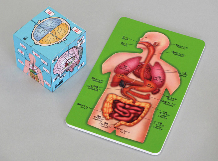 完了 人体キューブ パズル遊んで学べるからだのしくみ ムラウチドットコム 完了 人体キューブ パズル遊んで学べるからだのしくみ ムラウチドットコム