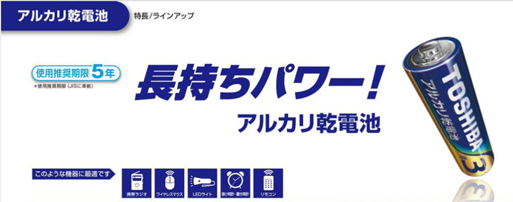 希少 東芝 アルカリ乾電池単3形 100本パック TOSHIBA LR6L100P 返品種別A discoversvg.com