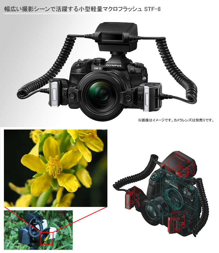 代引き不可】 OLYMPUS マクロフラッシュ STG-8 デジタル一眼カメラ用アクセサリーマクロフラッシュ STF-8 
