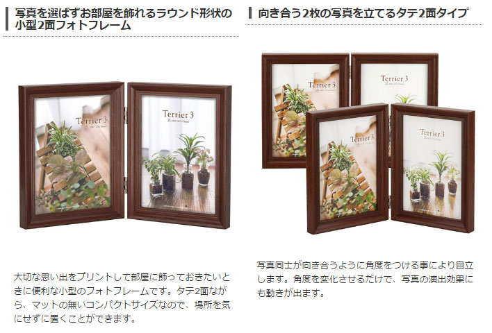 ハクバ フォトフレーム テリア3 タテ 2面 ブラウン 4977187491203 2Lサイズ FWTR3-BR2L2T