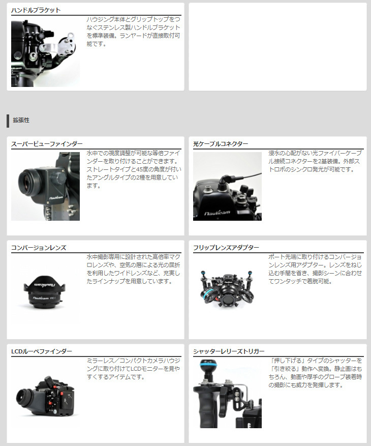 春の新作シューズ満載 Fisheye フィッシュアイ 20715 ノーティカム NA