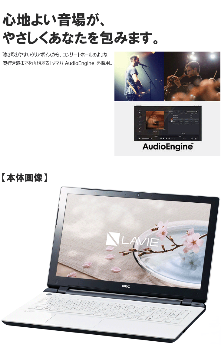 在庫限り】15.6型ノートPC LAVIE Direct NS（e） PC-GN16CJSAA-YK 