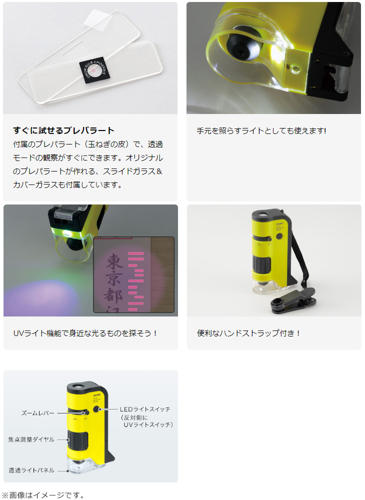 SALE／77%OFF】 レイメイ藤井 顕微鏡 ハンディ顕微鏡DX グリーン RXT300M www.hughsimpson.co.uk