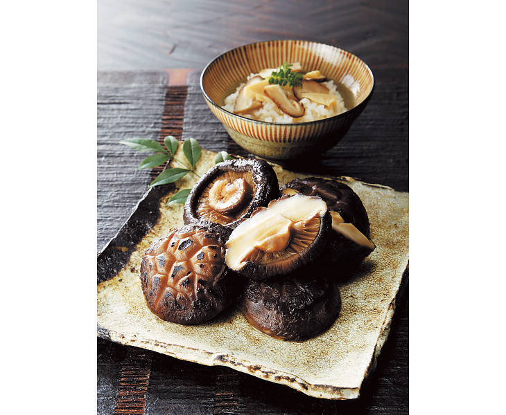 大分産 花どんこ椎茸 亀甲華 ４００ｇ ムラウチドットコム