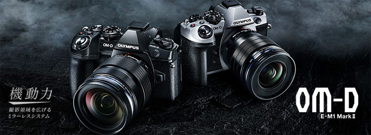 Om D E M1 Mark Ii Slv Limited ボディ シルバー 100周年記念限定カラーモデル ミラーレス一眼カメラ ムラウチドットコム Om D E M1 Mark Ii Slv Limited ボディ シルバー 100周年記念限定カラーモデル ミラーレス一眼カメラ ムラウチドットコム