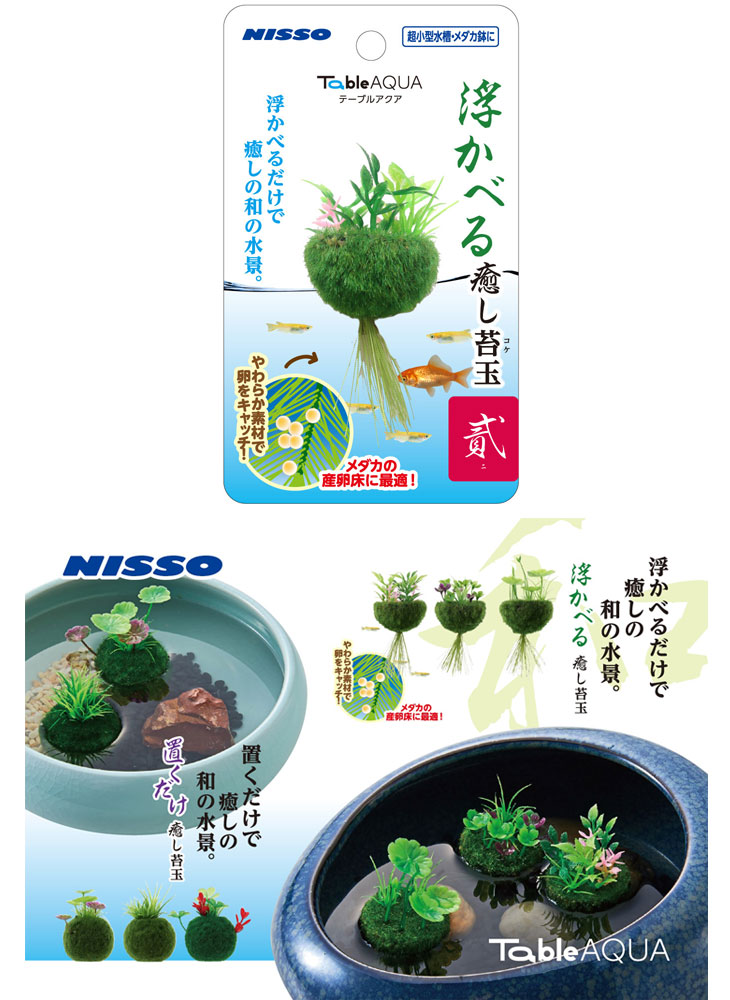 テーブルアクア 浮かべる癒苔玉 貳 ムラウチドットコム