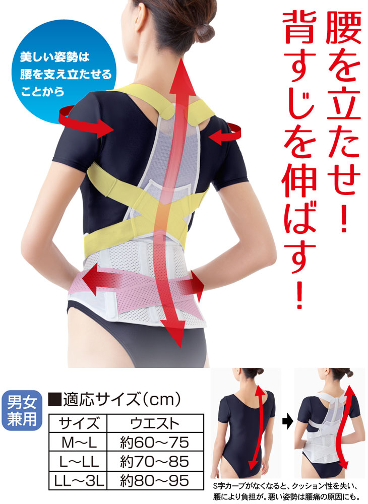 お医者さんの腰から正す姿勢ベルト M-L 【 ムラウチドットコム 】