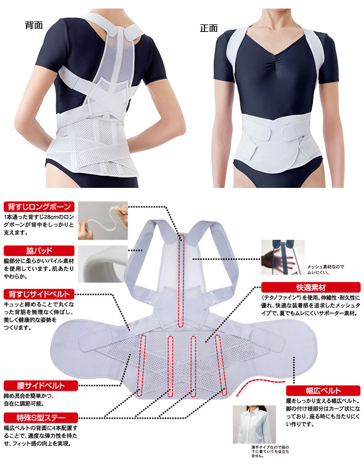 お医者さんの腰から正す姿勢ベルト M-L 【 ムラウチドットコム 】