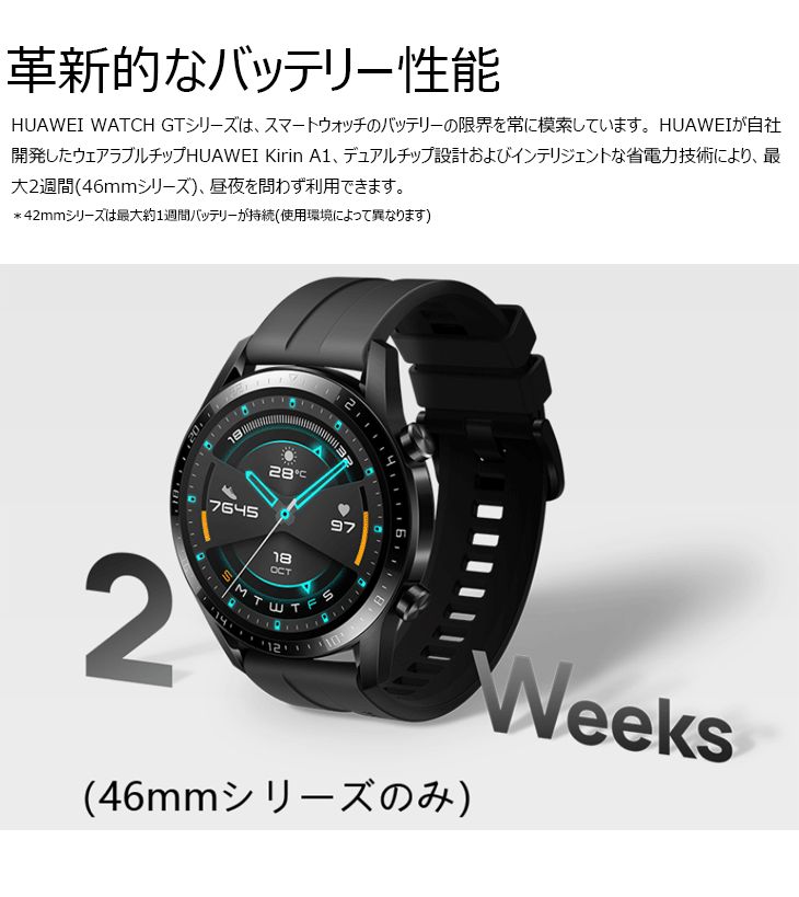 ファーウェイウォッチ 防水 HUAWEI WATCH GT2/46mm/Titanium Gray(LTN 