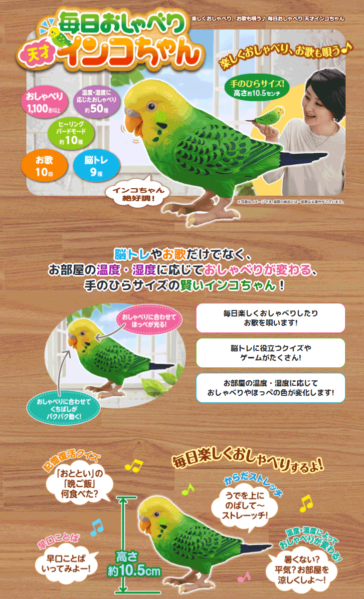 毎日おしゃべり 天才インコちゃん 【 ムラウチドットコム 】