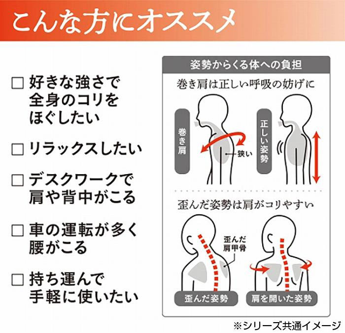 中山式 快癒器 2球 4球セット かいゆき 白 本日の目玉 かいゆき