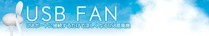 USB|[gɐڑ邾ŗȂUSB@