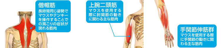 ̕tɂ鈳͂U₷AǏIȈ̏Wa炰