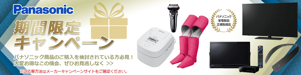Panasonic ԌLy[
