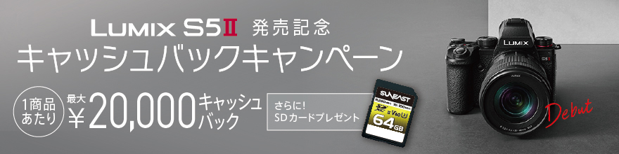 LUMIX S5ULOLbVobNLy[Ώۏi͂灄