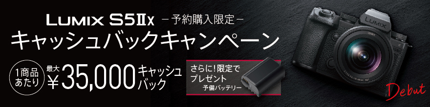 LUMIX S5UX\wLbVobNLy[Ώۏi͂灄