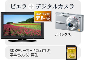 ビエラにリンク