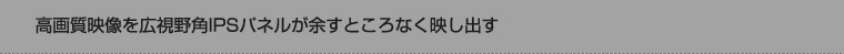 掿fLpIPSpl]ƂȂfo