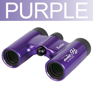 PURPLE/p[v