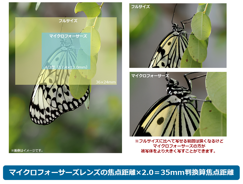 ZT[TCYႤƉpςC[W