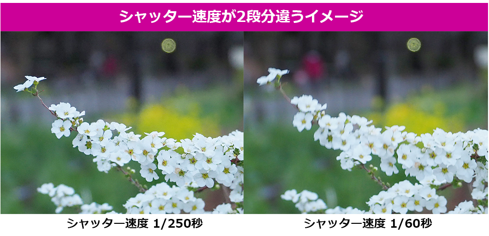 Vb^[x2iႤC[W