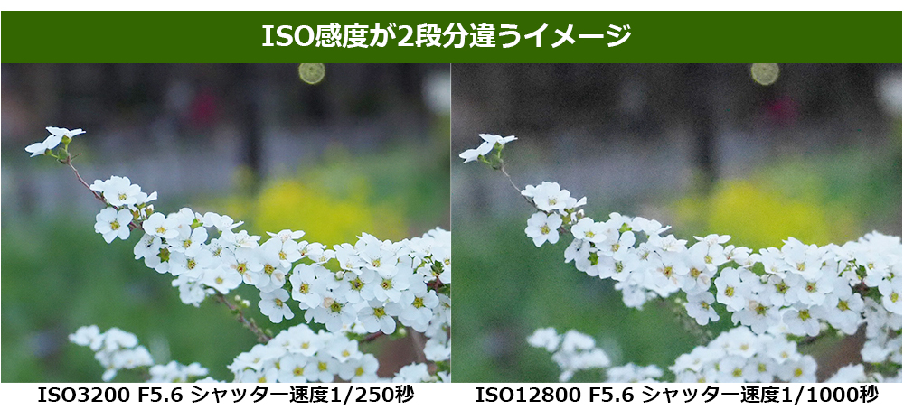 ISOx2iႤC[W