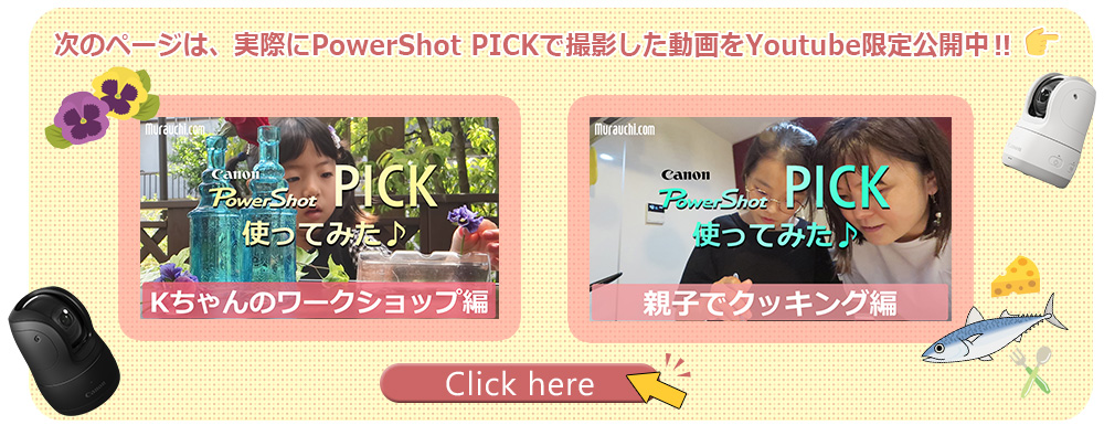 BeJ Canon PowerShot PICKɂĂǏr[2/3y[W 