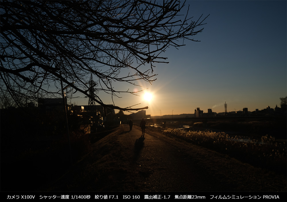 X100V@tBV~[V PROVIA/X^_[h