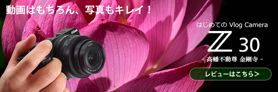wNikon Z 30 ʃr[I16-50 VRYLbgŏ߂Ă4KBex ̓R`