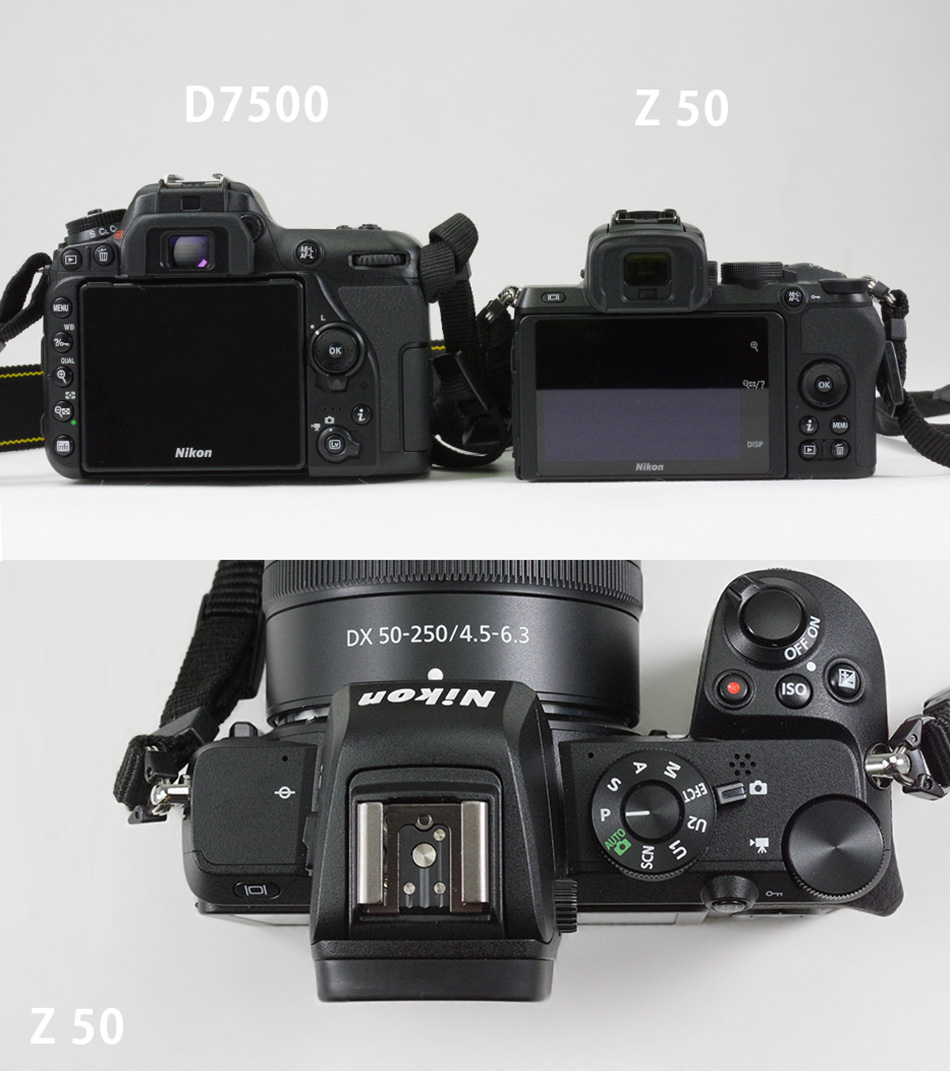 D7500Z 50̑{^̔r