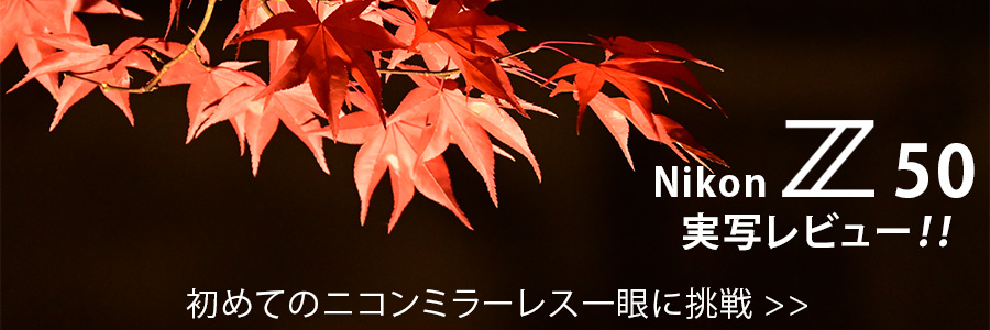 Nikon Z 50 ʃr[I- ߂ẴjR~[XJɒ -͂灄