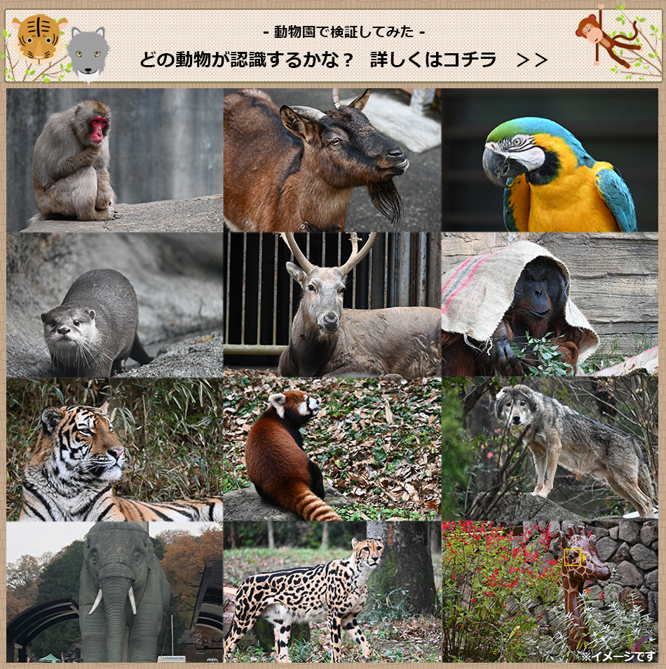 ǂ̓F邩ȁHڂ͂NbN 