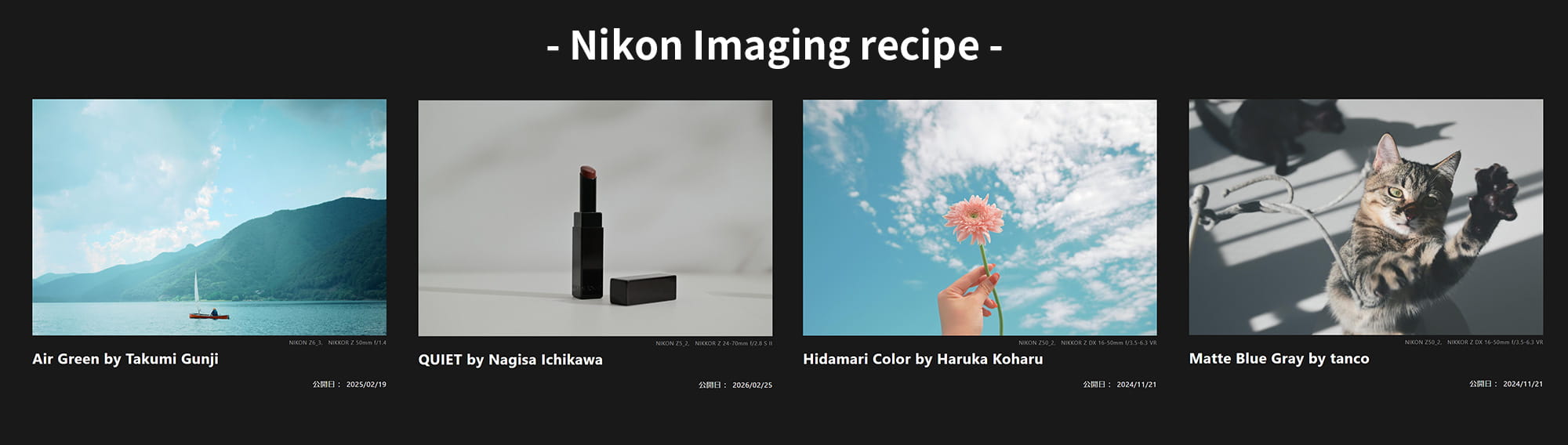 私が気になったNikon Imaging recipe 私が気になったNikon Imaging recipe