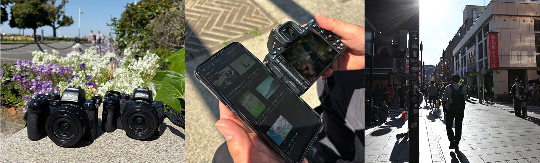 Nikon Z50とZ50IIを比較。新しいZ50IIのイメージングレシピの楽しさを実感! Nikon Z50とZ50IIを比較。新しいZ50IIのイメージングレシピの楽しさを実感!