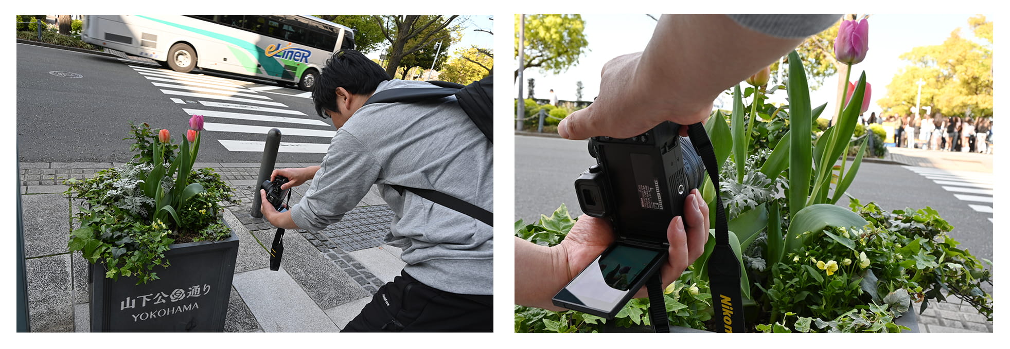 NikonZ50II バリアングル式画像モニターを使った撮影風景 NikonZ50II バリアングル式画像モニターを使った撮影風景
