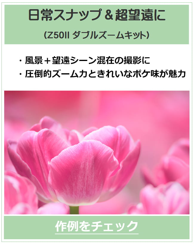 Z50II �_�u���Y�[���L�b�g�̍��͂�����