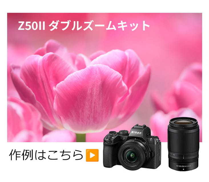 ニコン ミラーレスカメラ Z50II ダブルズームキット 実写レビュー ニコン ミラーレスカメラ Z50II ダブルズームキット 実写レビュー
