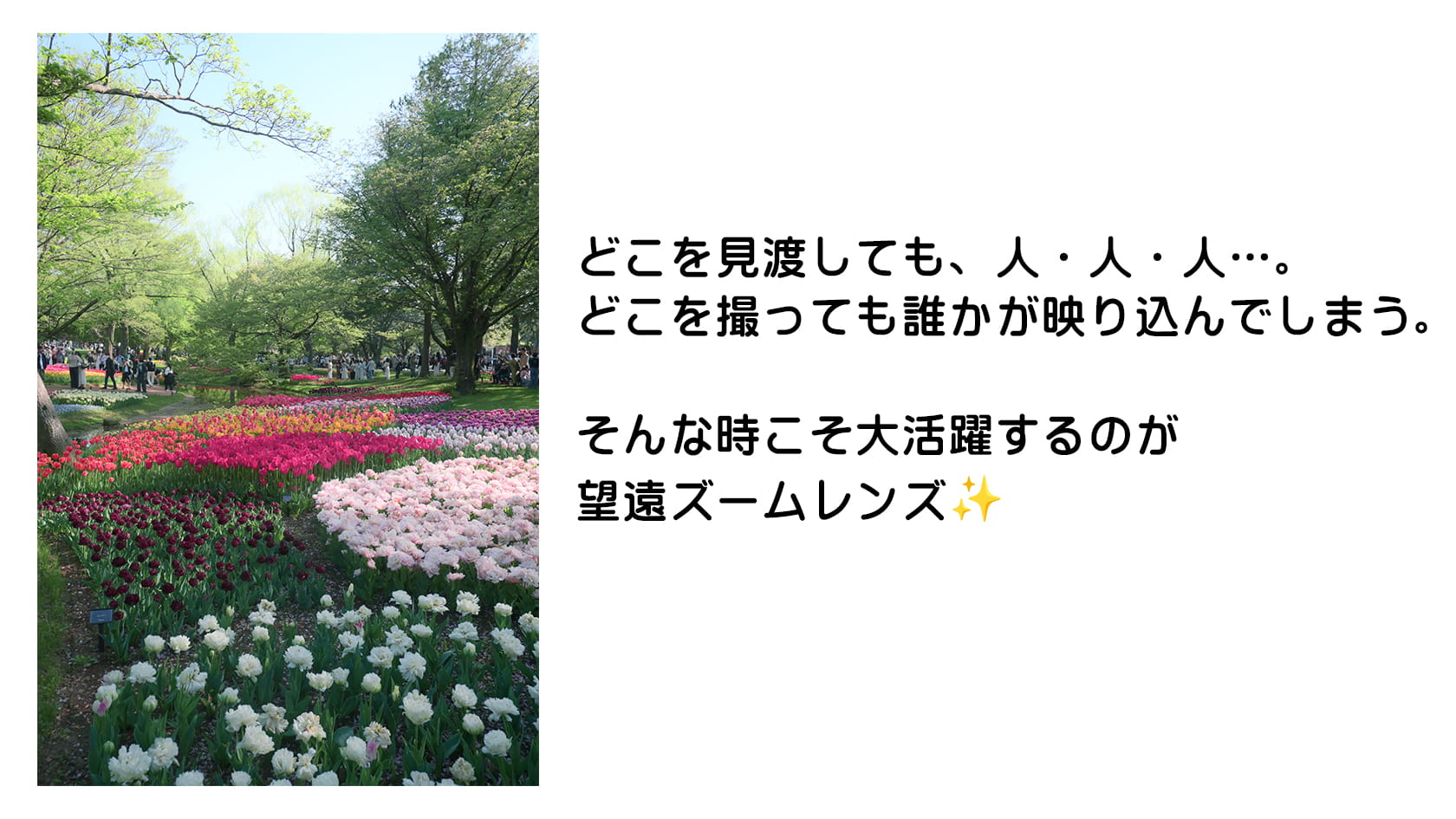 人気スポットの行楽地はどこも人混みで、景色を撮ってもヒトヒトヒト・・・「せっかく綺麗な景色なのに…!」 人気スポットの行楽地はどこも人混みで、景色を撮ってもヒトヒトヒト・・・「せっかく綺麗な景色なのに…!」
