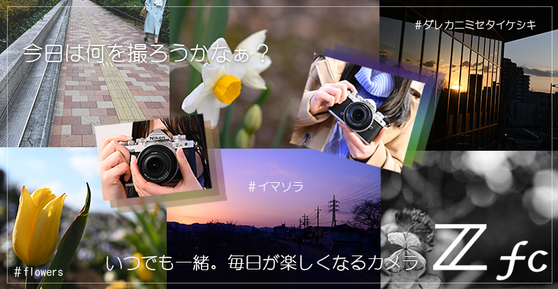 ミラーレスカメラ Nikon Z fc レンズキット 実写レビュー!4/5 ミラーレスカメラ Nikon Z fc レンズキット 実写レビュー!4/5