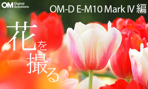 ~[X OM-D E-M10 Mark IV EZ_uY[LbgŉԎBeBBeRcƂ́H NbN
