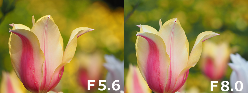 F5.6F8.0̋ʃ{Pr