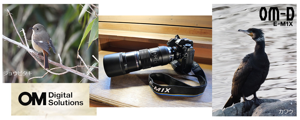 2{eRo[^[MC-20ƕp邱ƂŁA莝1200(35Z)̒]Be\?FAFǉnCXybNȃ~[XJ OLYMPUS OM-D E-M1X  ^Eyʒ]Y M.ZUIKO DIGITAL ED 300mm F4.0 IS PRO ͂ 